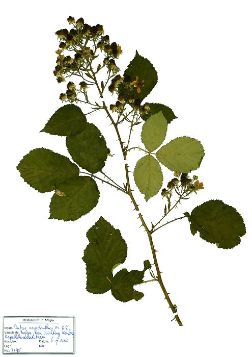 Bild3