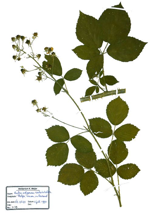 Bild3