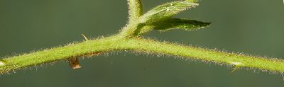 Bild16