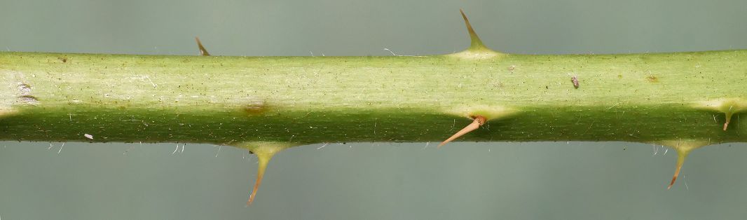 Bild3