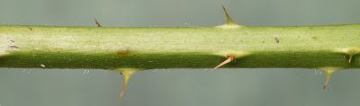 Bild12