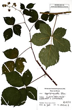 Bild2