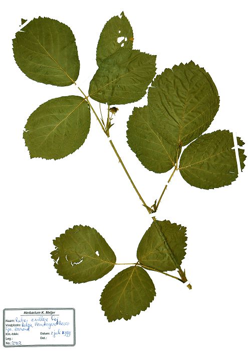 Bild3