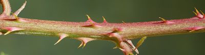Bild12