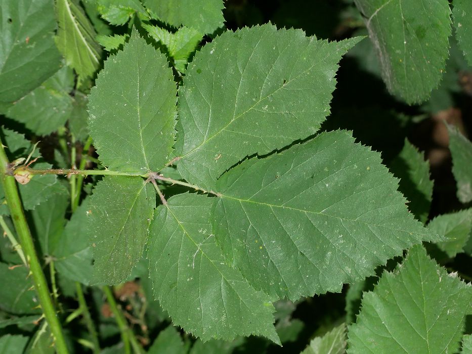 Bild3