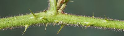 Bild16
