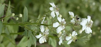 Bild12