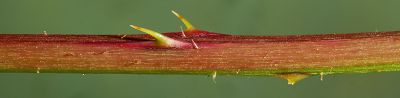 Bild12