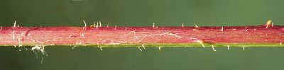 Bild16
