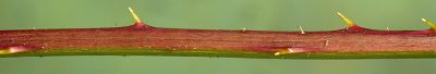 Bild12