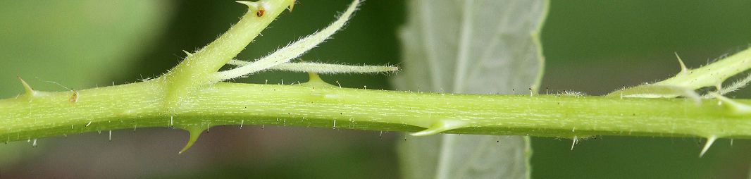 Bild3