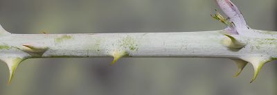 Bild12