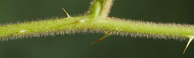 Bild16