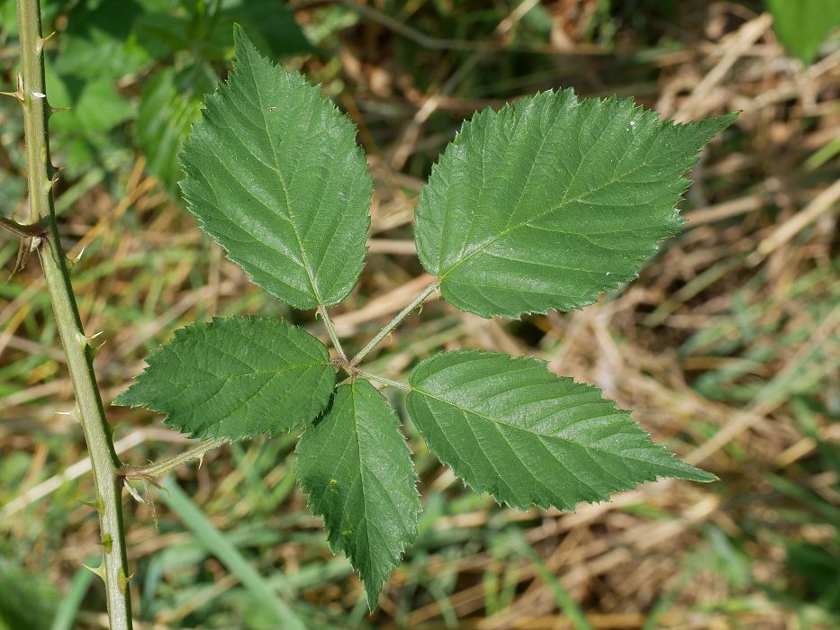 Bild3