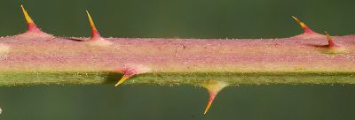 Bild12