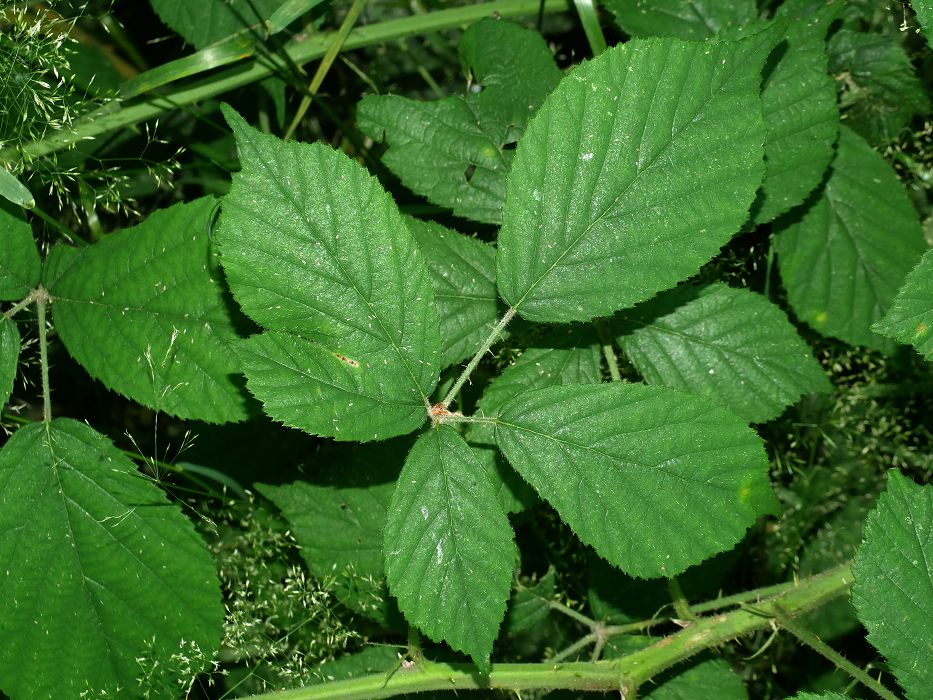 Bild3