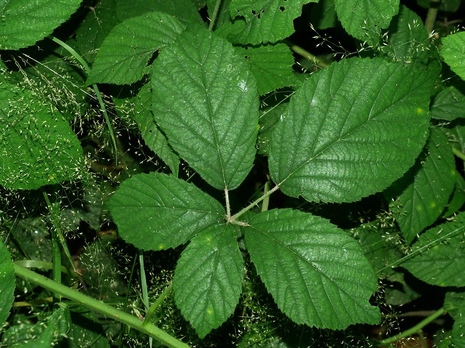 Bild3
