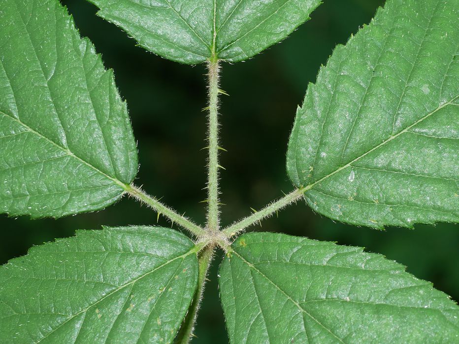 Bild3