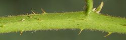 Bild2