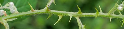 Bild16
