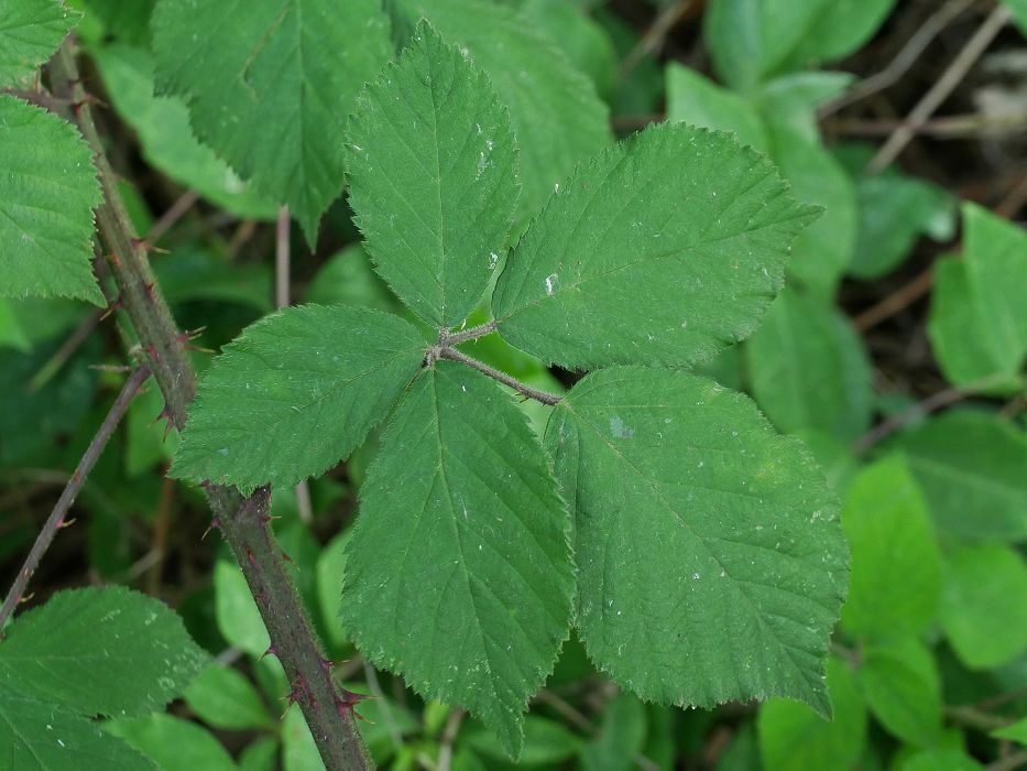 Bild3