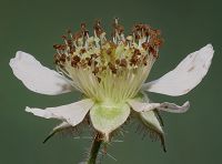 Bild24
