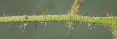 Bild16