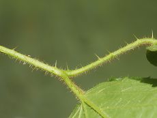 Bild5