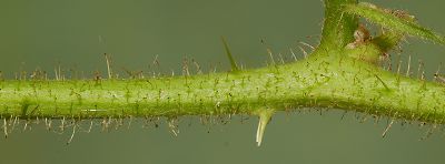 Bild16
