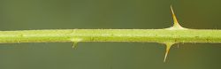 Bild2