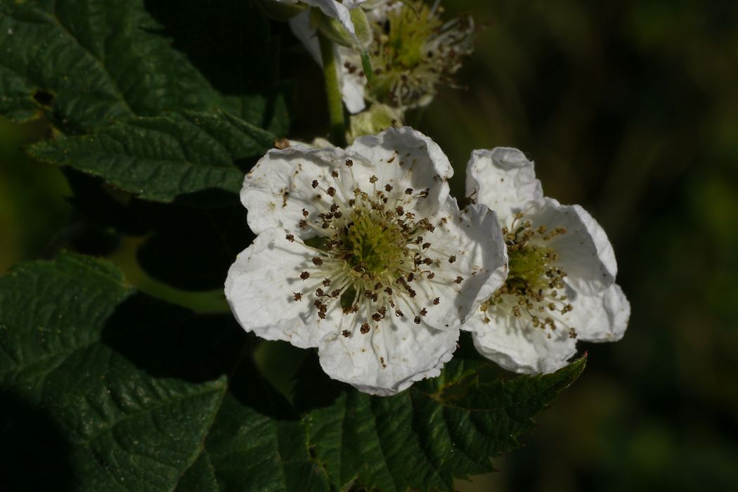 Bild3