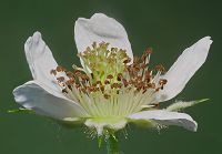 Bild24
