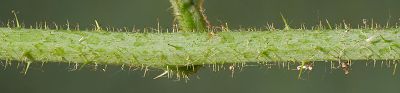 Bild12