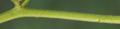 Bild16