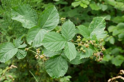 Bild14