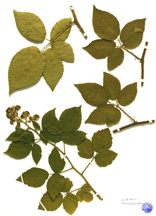 Bild3