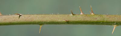 Bild12