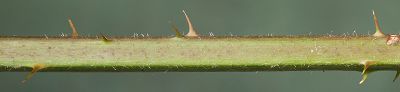 Bild12