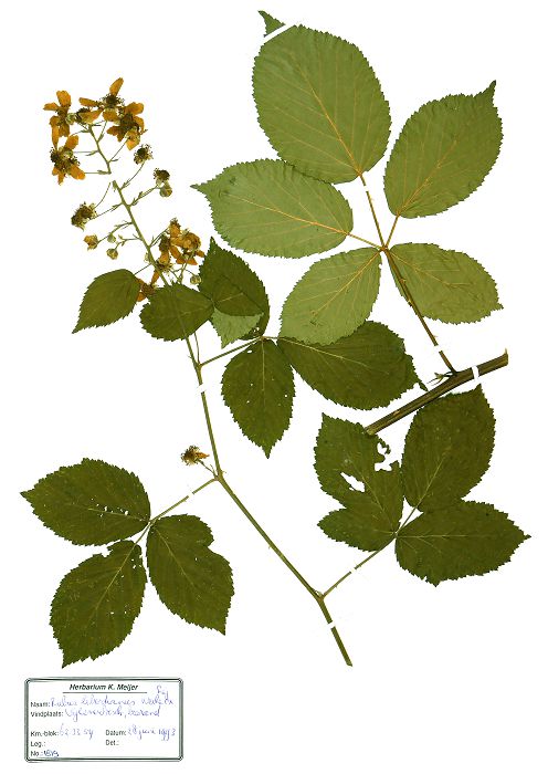 Bild3