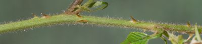 Bild16