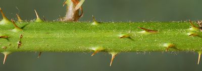 Bild12