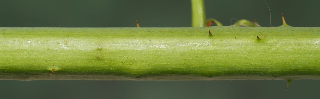 Bild3