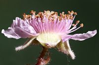 Bild24
