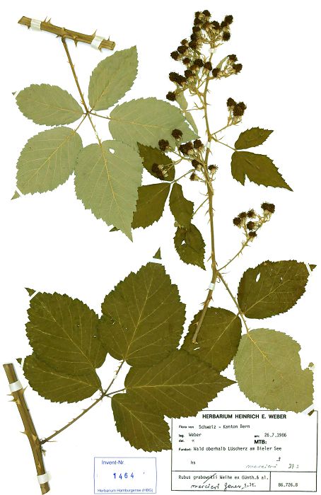 Bild3