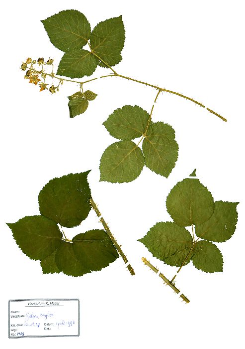 Bild3