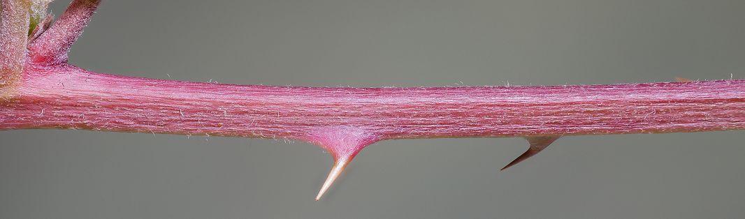 Bild3