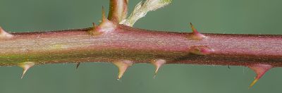 Bild12