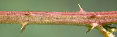 Bild12