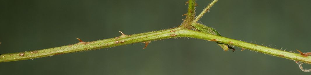 Bild3