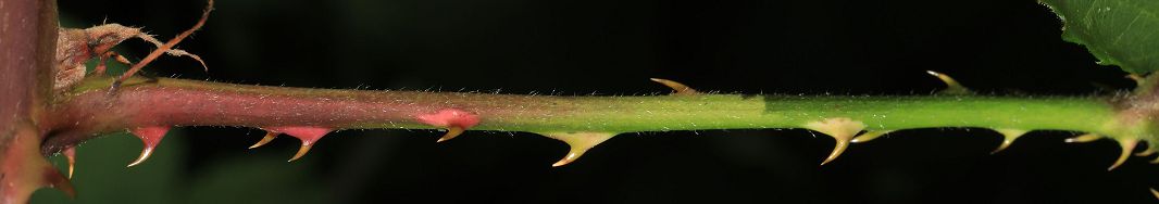 Bild3